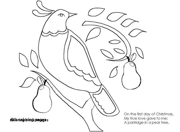 gambar mewarnai buaya untuk anak paud dan tk dltks coloring pages unique coloring book dltk coloring pages 0 0d spiderman rituals you